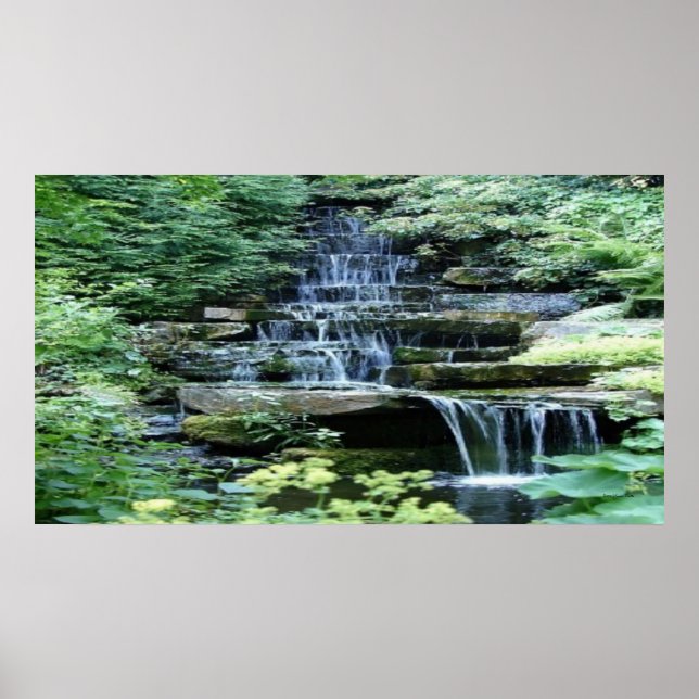 Zen  Poster (Front)