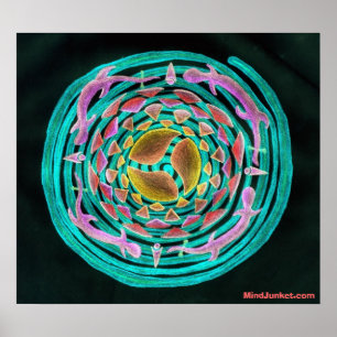 Zen Swirl Geckos Poster