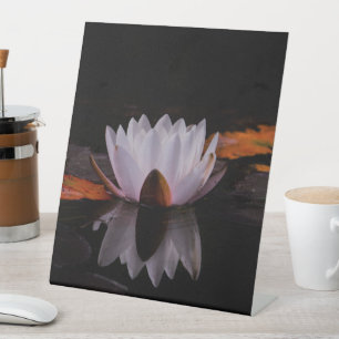 Zen White Lotus Flower Pedestal Sign