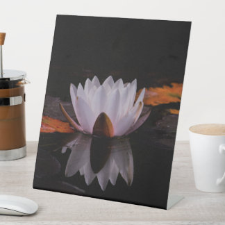 Zen White Lotus Flower Pedestal Sign