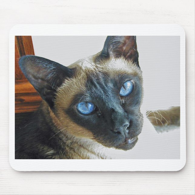 ZenaLrg_7_20_05_edited-1 Mouse Pad (Front)