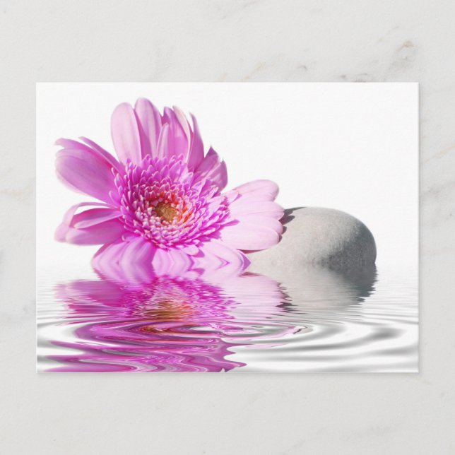 Zénitude post card (Front)