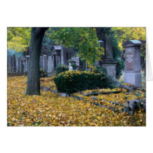 Zentralfriedhof