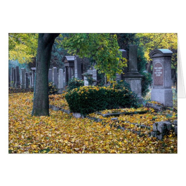 Zentralfriedhof (Front Horizontal)