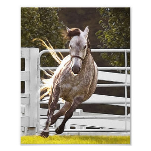 Zest For Life Photo Print