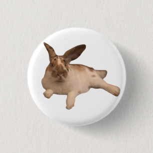 Zesty Paddy Badge 1 Inch Round Button