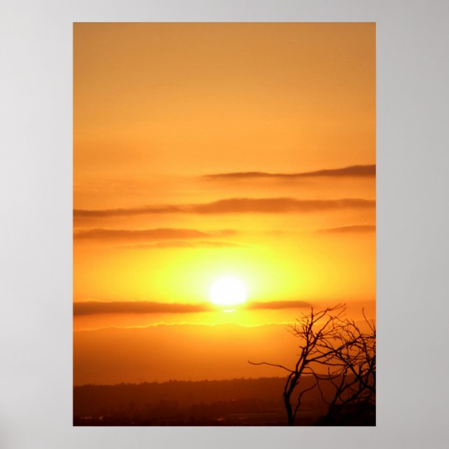 Zesty SUN Poster (Front)