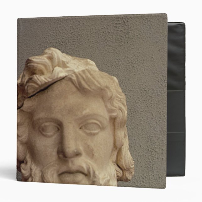 Zeus, 69-96 AD Binder (Front/Inside)