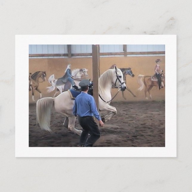 Zeus, Levade dans les piliers Carte postale (Devant)