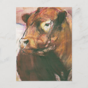 Zeus Red Belted Galloway Bull 2006 2 Postcard