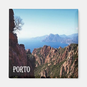 zFR109 City of PORTO in Corsica, France, Fridge Magnet