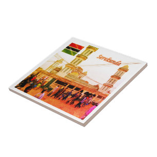 zGM007 SEREKUNDA, Gambia, Bundung  Mosque, Tile