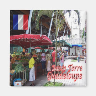 zGP007 GUADELOUPE, Basse-Terre, Fridge Magnet