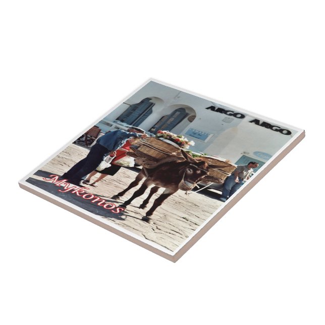 zGR119 MYKONOS Donkey, Greece, Tile (Side)