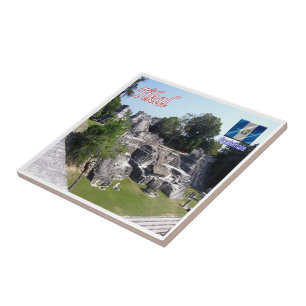 zGT011 TIKAL,Guatemala, America, Tile