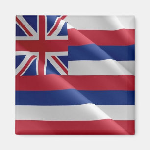 zHI002 HAWAII WAVING FLAG, Oceania, Fridge Magnet