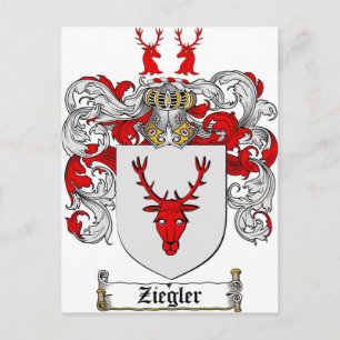 Ziegler Coat of Arms / Ziegler Family Crest Postcard