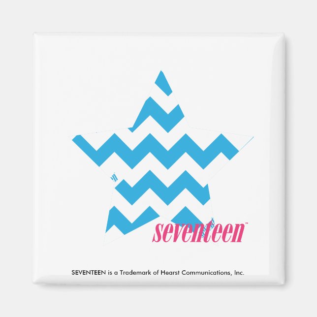 ZigZag Aqua 2 Magnet (Front)