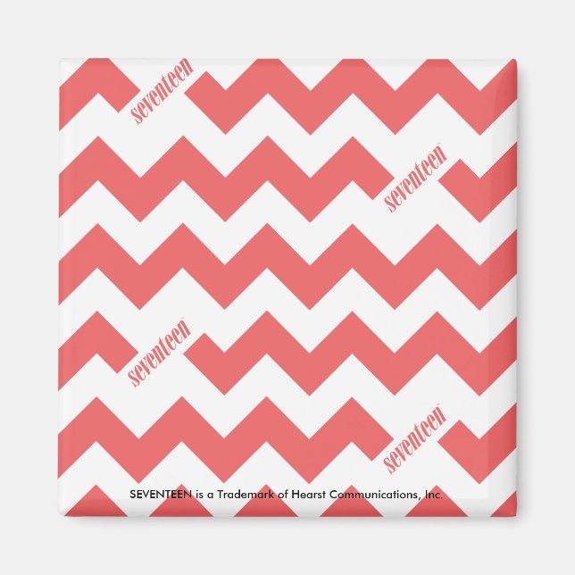 ZigZag LtPink Magnet (Front)