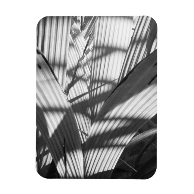 Zigzag Magnet (Vertical)