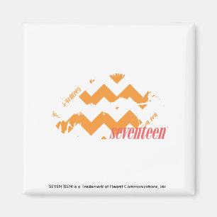 ZigZag Orange Magnet