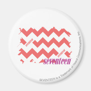 ZigZag Pink 2 Magnet
