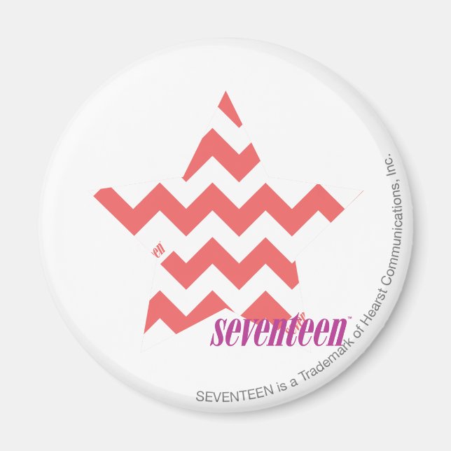ZigZag Pink 4 Magnet (Front)