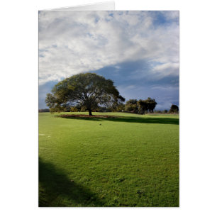 Zilker Park Austin Texas