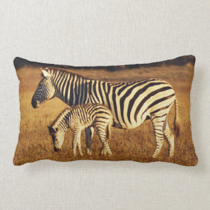 Zimbabwe, Hwange National Park, Linkwasha Lumbar Pillow