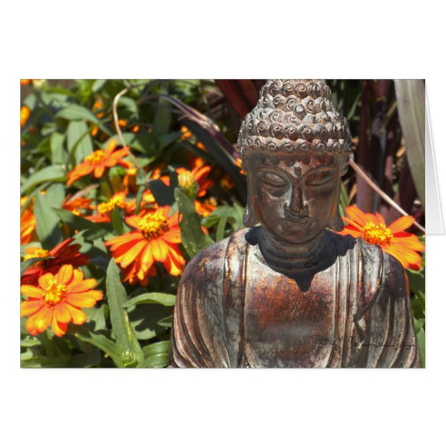 Zinnia Buddha Card (Front Horizontal)