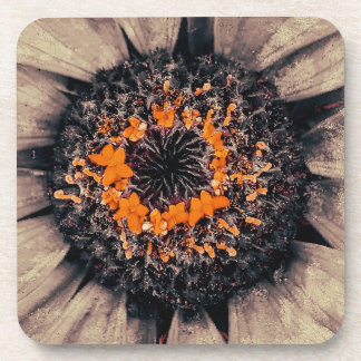 Zinnia Coaster