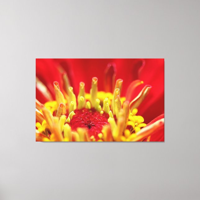 Zinnia Flower Heart Canvas Print (Front)