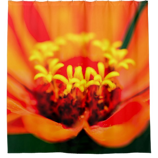 Zinnia Flower - Secret Garden (Front)