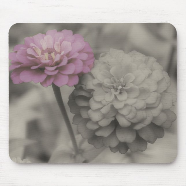 Zinnia Flowers Close Up Black And White Mousepad (Front)