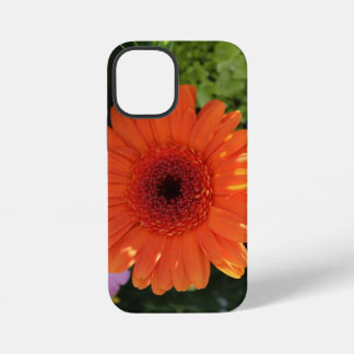 Zinnia iPhone 12 Mini Case
