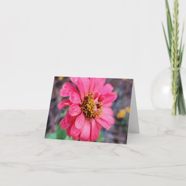 Zinnia Note Card   - Original Photography (Front)