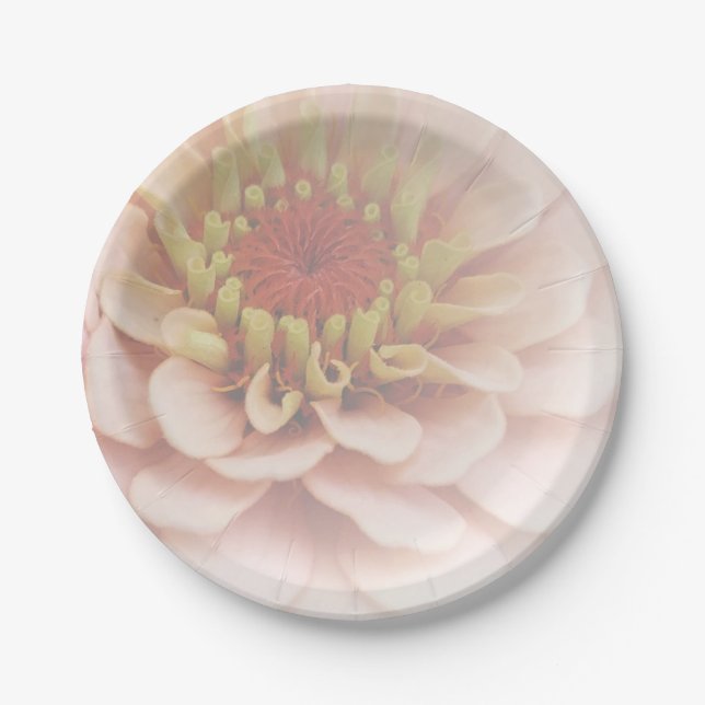 Zinnia Paper Plates Pale Peach (Front)