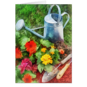 Zinnias et boîte d'arrosage