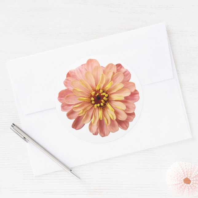 Zinnias Floral Flower Nature Photography Classic Round Sticker (Envelope)