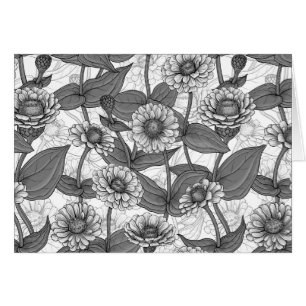 Zinnias, monochrome sur blanc