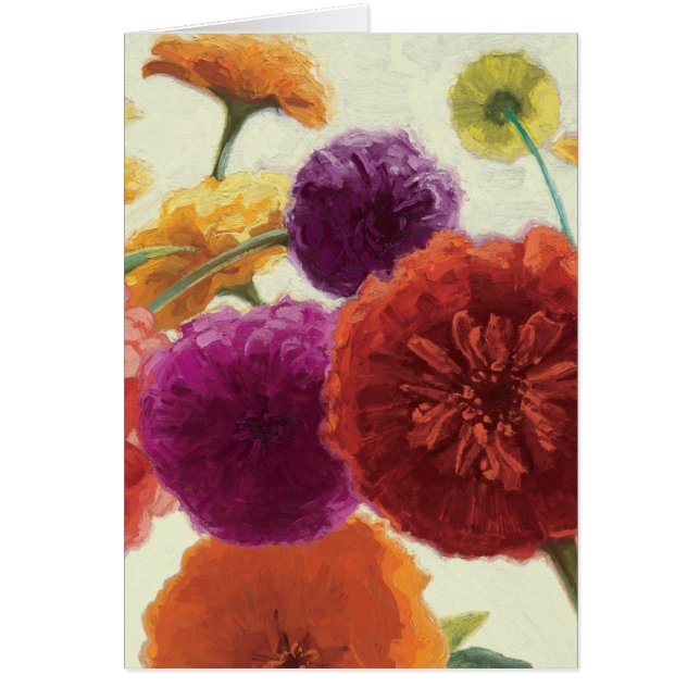 Zinnias purs de palette (Devant)