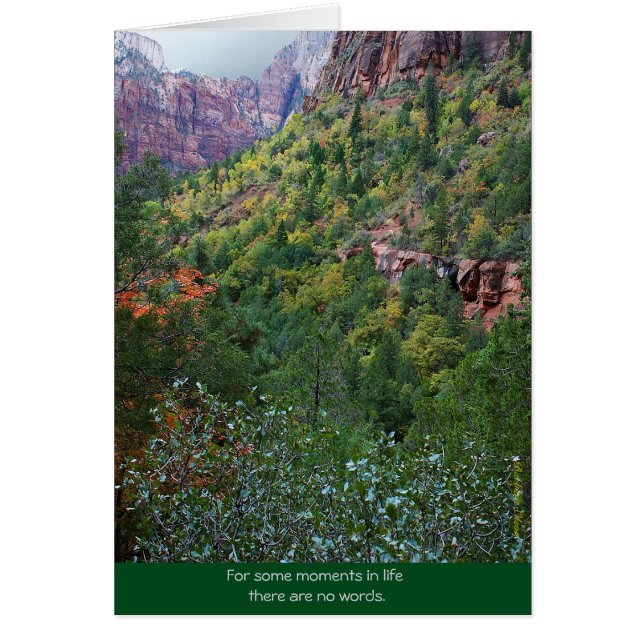 Zion Canyon : Bereavement (Devant)