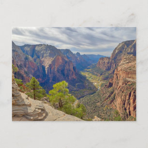 Zion Canyon   Utah Postcard