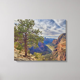 Zion Canyon View from Angels Landing Canvas Print