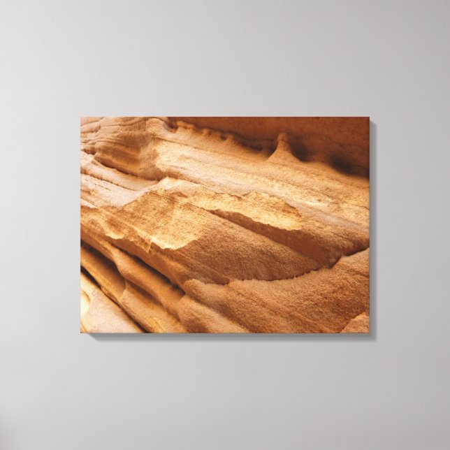 Zion Canyon Wall II Red Rock Abstract Photography Canvas Print (Front)