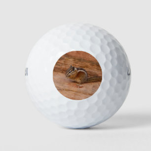 Zion Chipmunk on Red Rocks Golf Balls
