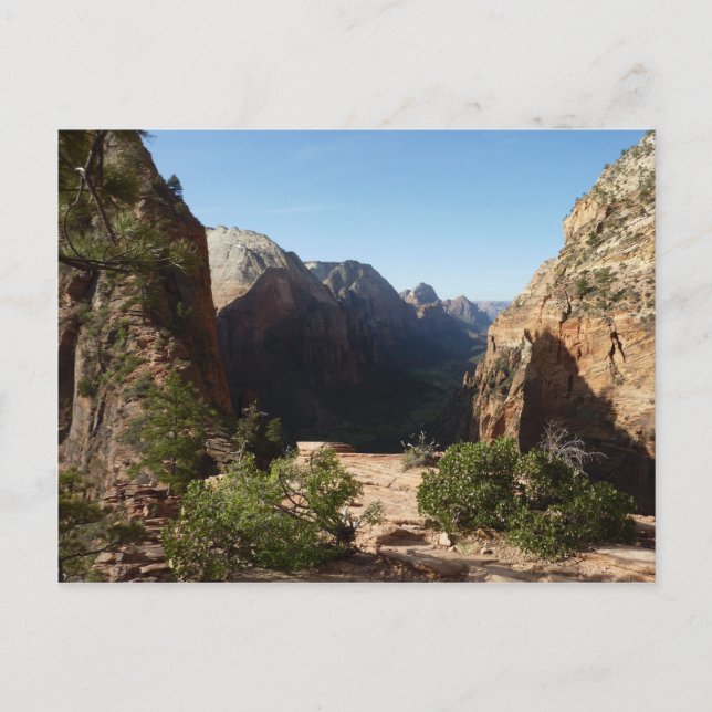Zion from Angels Landing Trail Zion National Park Postcard (Front)