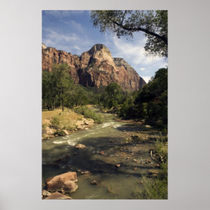 Zion Mountain Stream poster
