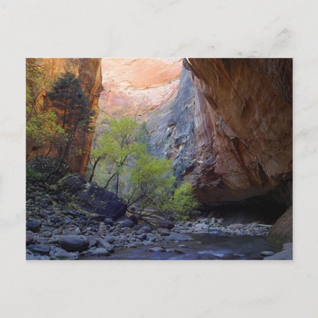Zion Narrows Postcard (Front)