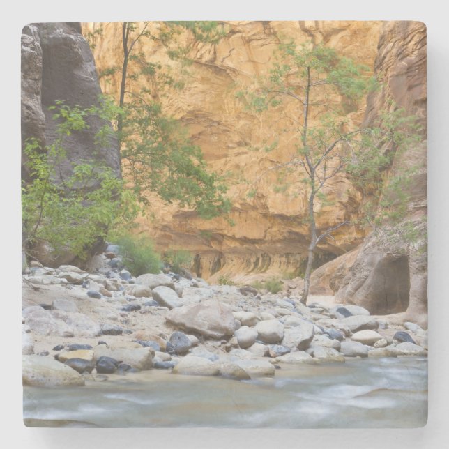 Zion Narrows Stone Coaster (Front)